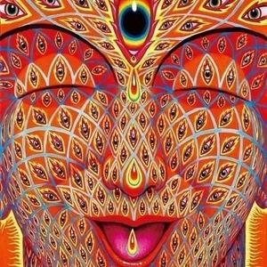 Meet your Posher, Micah